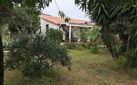 Podere 31